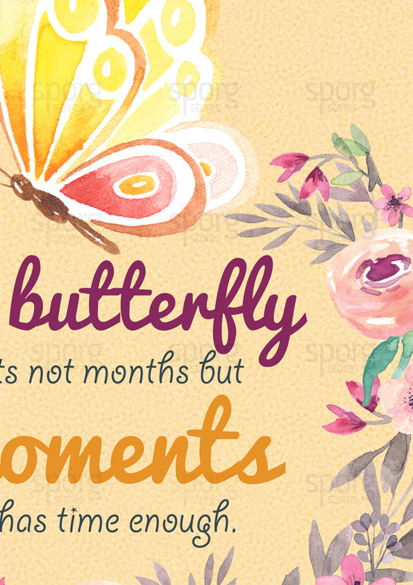 closeup-butterfly-time-quote-rabindranath-tagore-